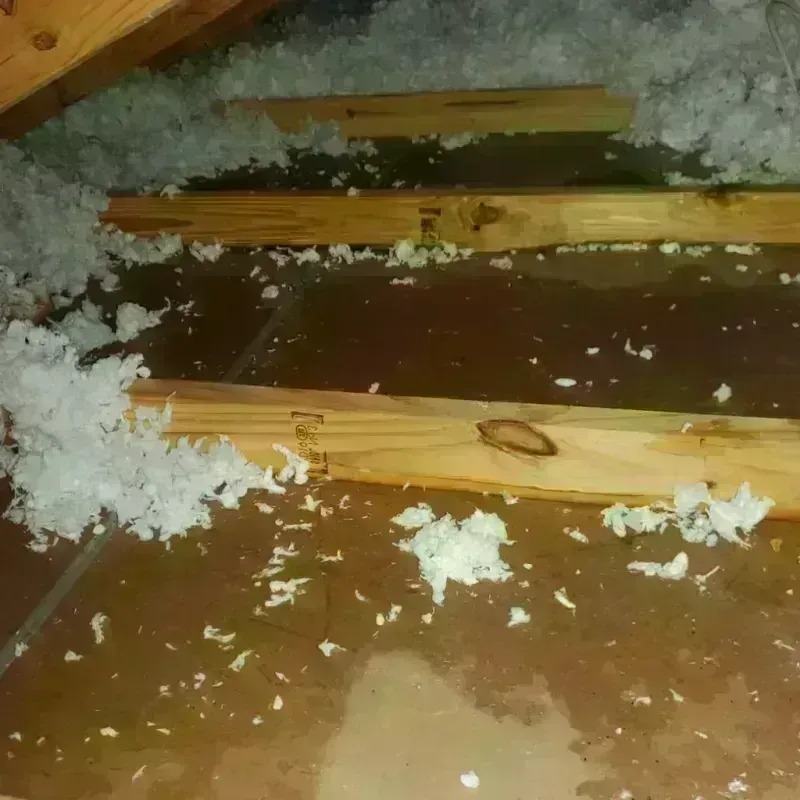 Attic Water Damage in La Porte, IN